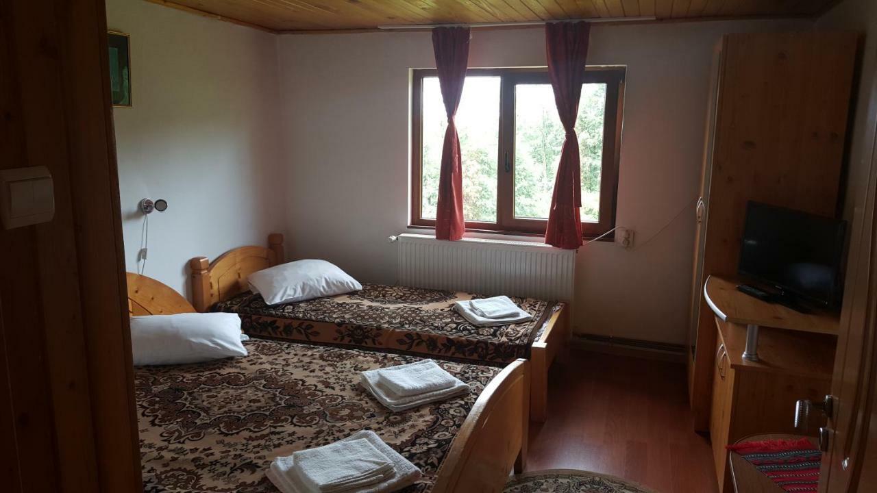 Pensiunea Dealul Frumos Bran  Exterior foto